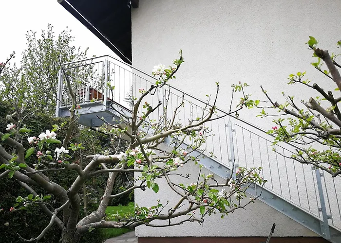 Angi\'S Apartment